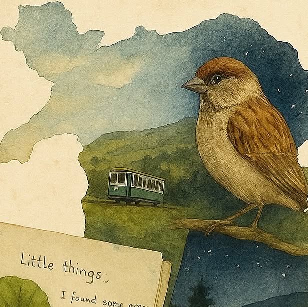 Nature field sketchbooks