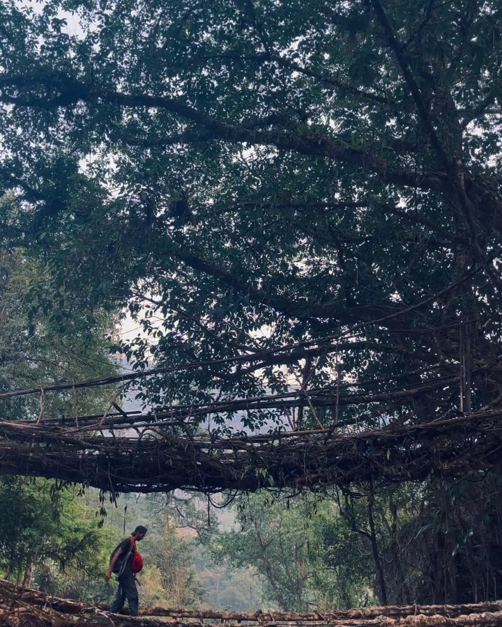Landscapes of India