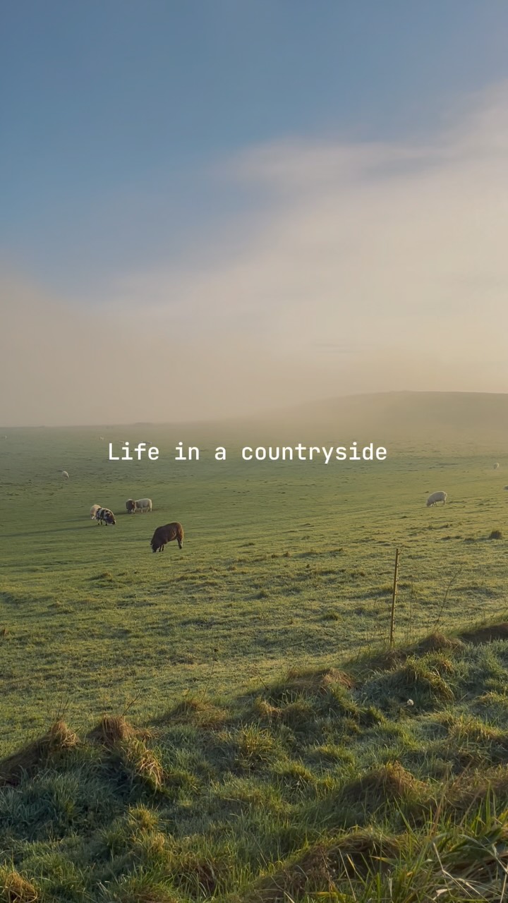Trails and hedgerows in the UK